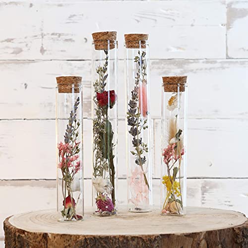 comforder Flores Secas Naturales en jarrones de Cristal, Set de 4 floreros de Cristal Modernos y Flores Preservadas (Primavera)